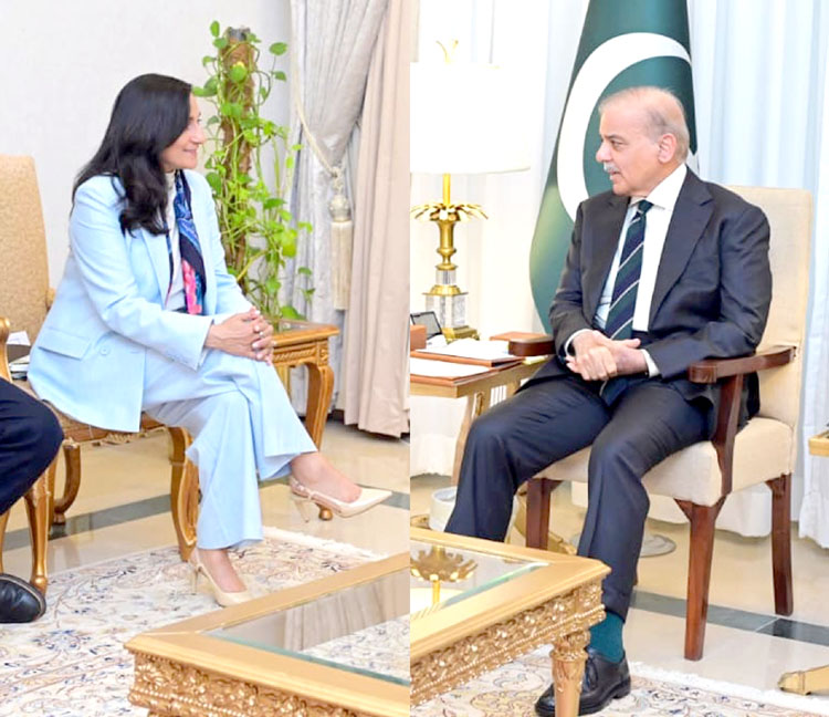قابل تجدید توانائی، آٹو موبائل اور آٹو پارٹس کی صنعت کے شعبوں میں مزید وسعت دینے کی ضرورت ہے، شہبازشریف
