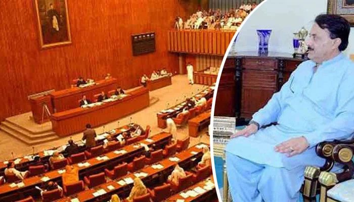 پاکستان اور امریکہ کے تعلقات کئی دہائیوں پر محیط ہیں،قائم مقام چیئرمین سینیٹ سیدال خان ناصر